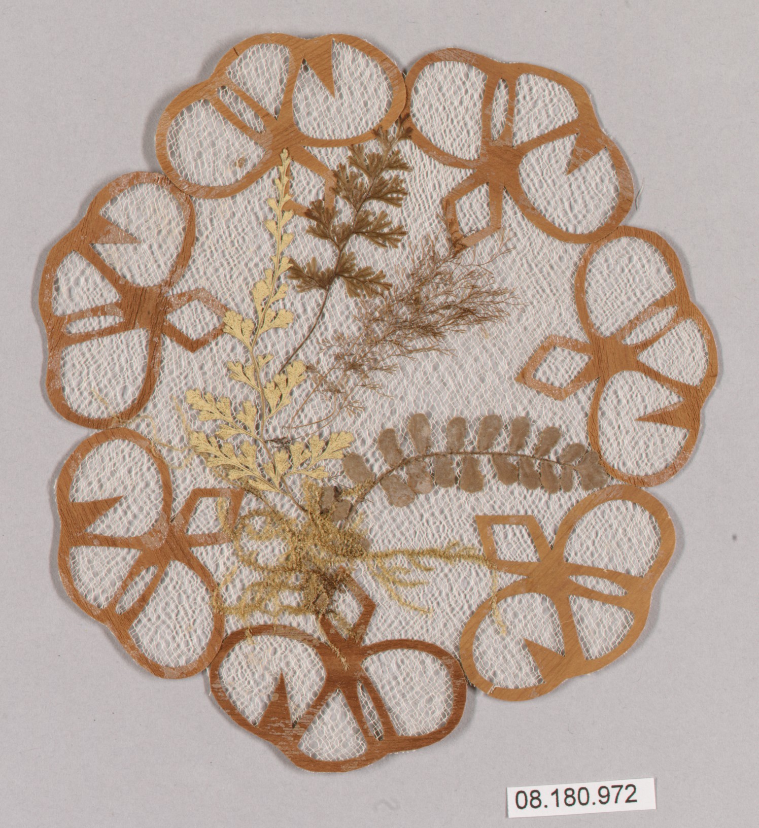 Katherine Couture Research